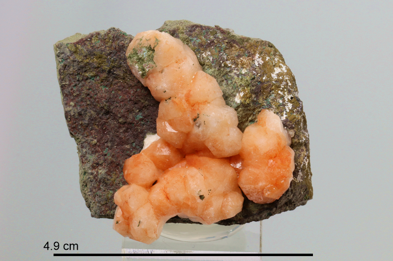 Analcime (Nova Scotia)
